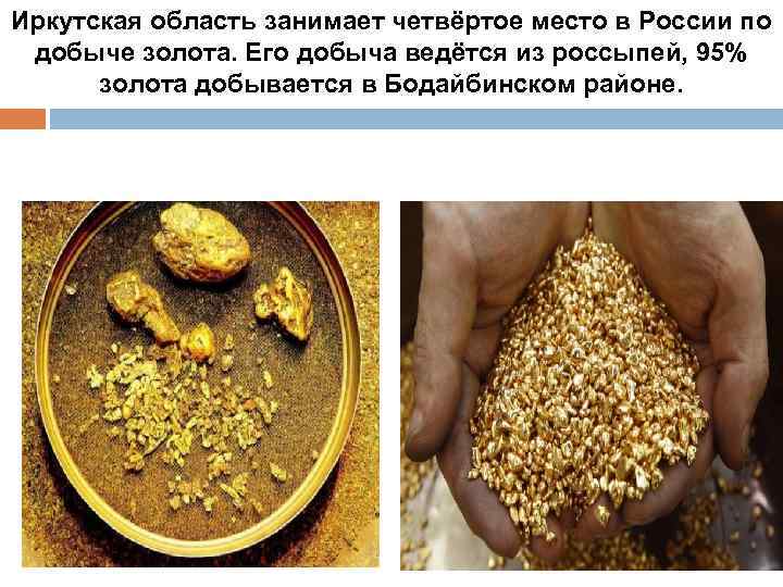 Иркутская область занимает четвёртое место в России по добыче золота. Его добыча ведётся из