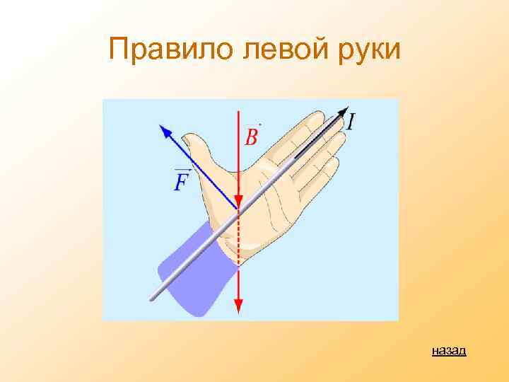 Правило левой руки назад 