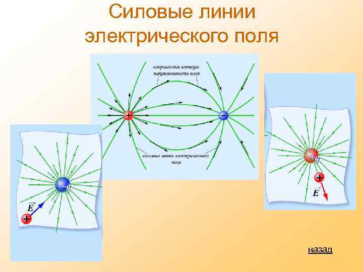 Силовые линии электрического поля назад 