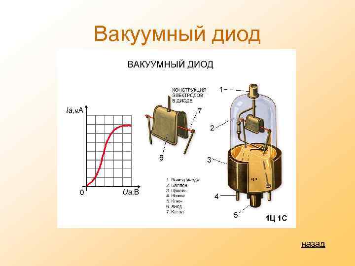 Вакуумный диод назад 