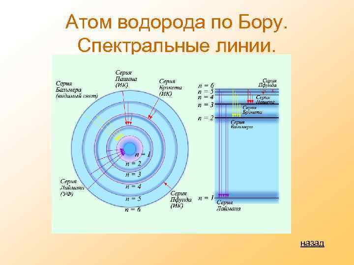 Атом водорода по Бору. Спектральные линии. назад 