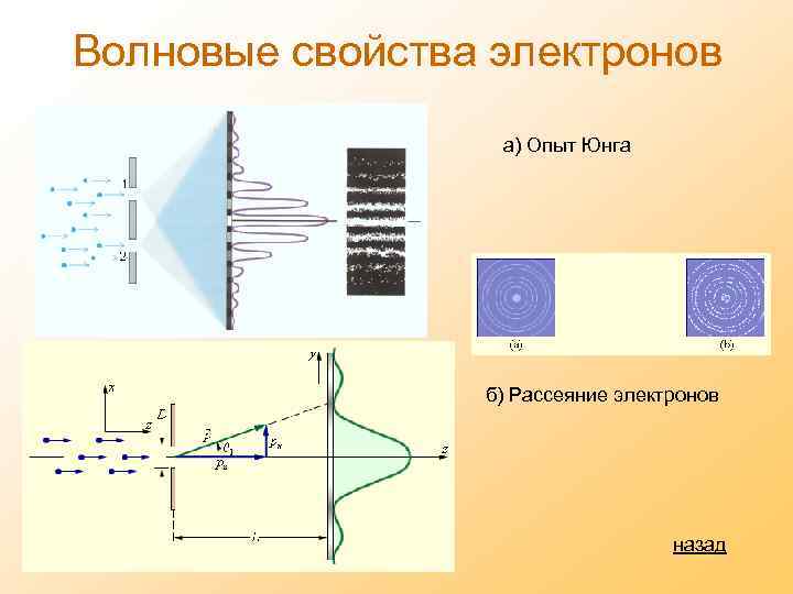 Волновые свойства электронов а) Опыт Юнга б) Рассеяние электронов назад 