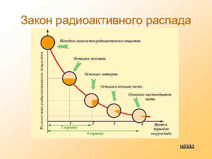 Закон радиоактивного распада назад 