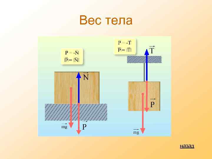 Вес тела назад 