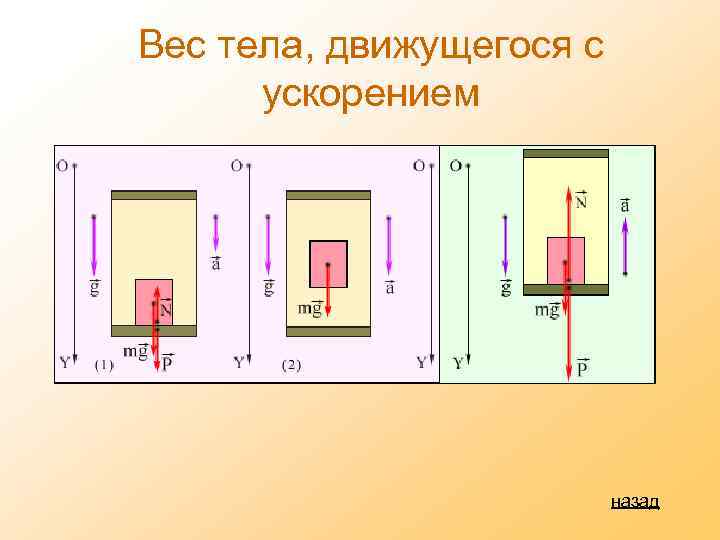 Вес тела, движущегося с ускорением назад 