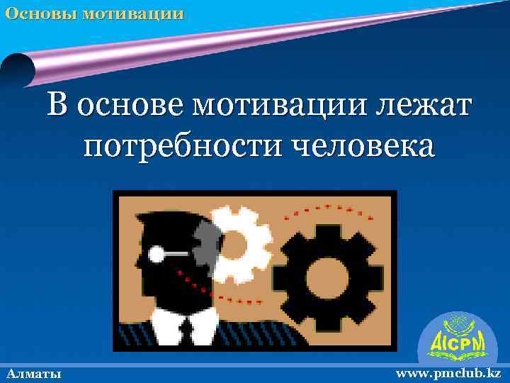 Основы мотивации В основе мотивации лежат потребности человека Алматы www. pmclub. kz 