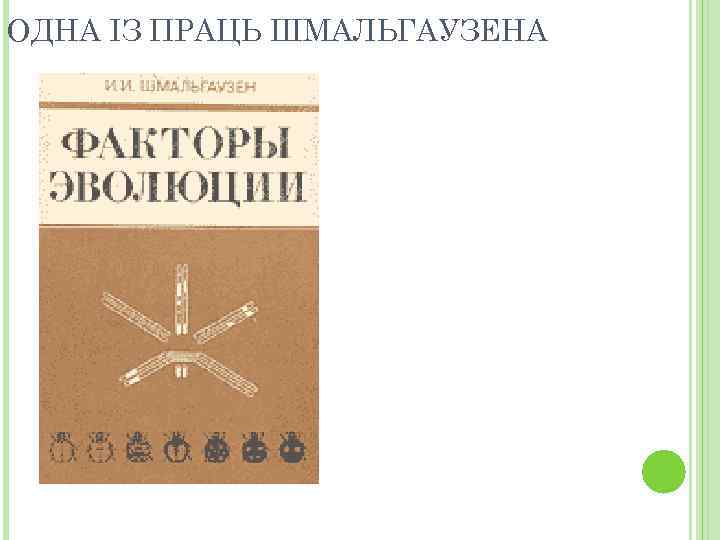 ОДНА ІЗ ПРАЦЬ ШМАЛЬГАУЗЕНА 