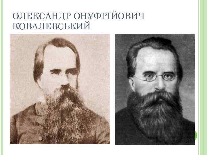 ОЛЕКСАНДР ОНУФРІЙОВИЧ КОВАЛЕВСЬКИЙ 