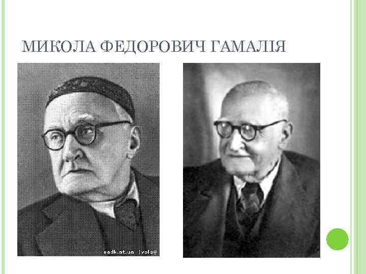 МИКОЛА ФЕДОРОВИЧ ГАМАЛІЯ 