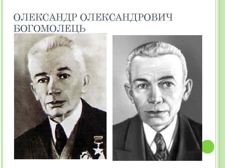 ОЛЕКСАНДРОВИЧ БОГОМОЛЕЦЬ 