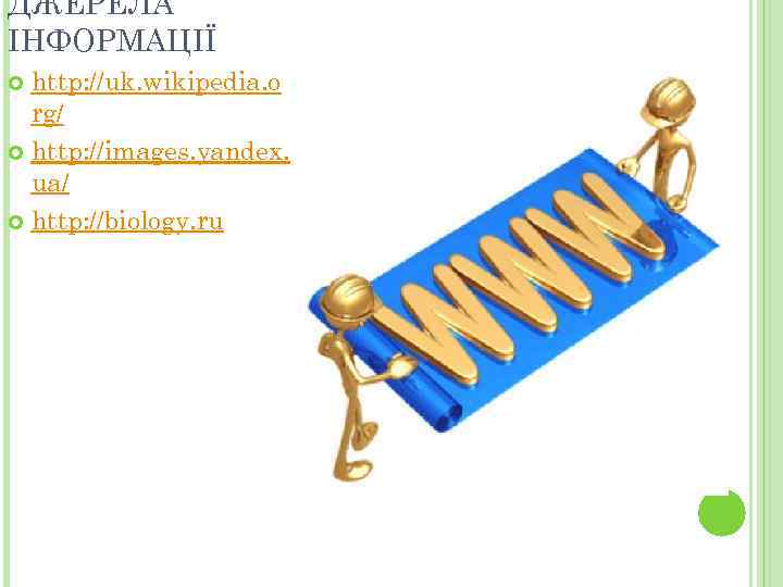 ДЖЕРЕЛА ІНФОРМАЦІЇ http: //uk. wikipedia. o rg/ http: //images. yandex. ua/ http: //biology. ru
