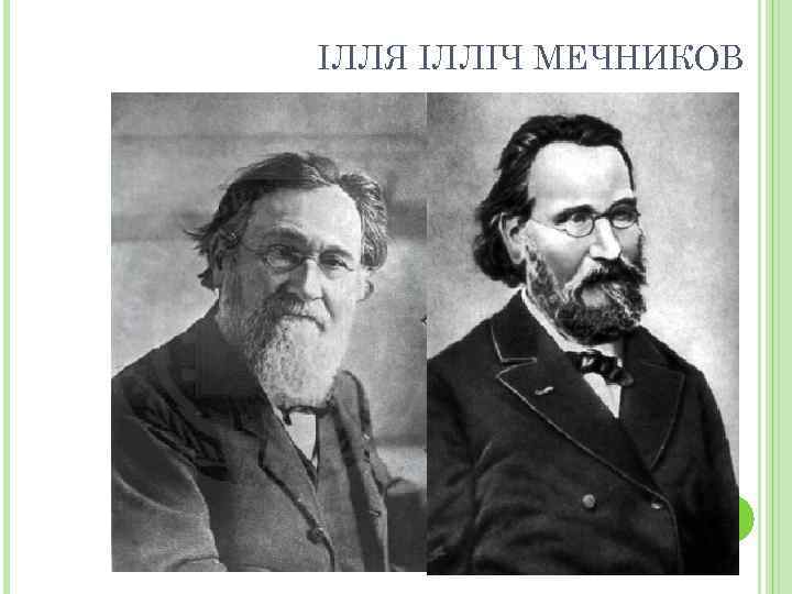 ІЛЛЯ ІЛЛІЧ МЕЧНИКОВ 