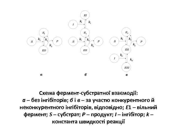 Схема фермент-субстратної взаємодії: а – без інгібіторів; б і в – за участю конкурентного