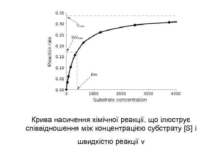 Крива насичення хімічної реакції, що ілюструє співвідношення між концентрацією субстрату [S] і швидкістю реакції