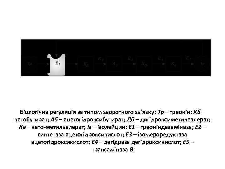 Біологічна регуляція за типом зворотного зв’язку: Тр – треонін; Кб – кетобутират; Аб –