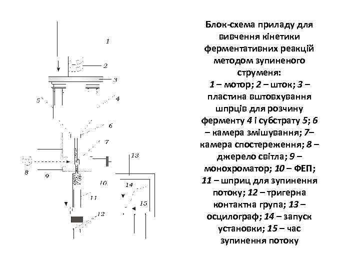 Блок-схема приладу для вивчення кінетики ферментативних реакцій методом зупиненого струменя: 1 – мотор; 2