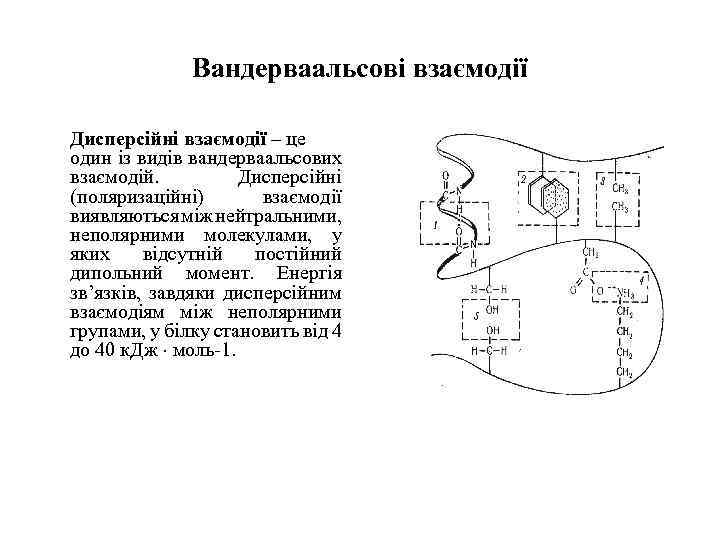 Вандерваальсові взаємодії Дисперсійні взаємодії – це один із видів вандерваальсових взаємодій. Дисперсійні (поляризаційні) взаємодії