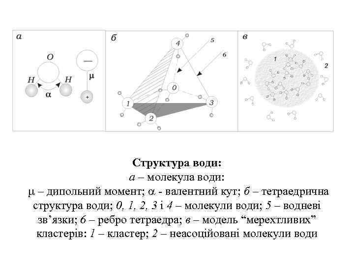 Структура води: а – молекула води: – дипольний момент; - валентний кут; б –