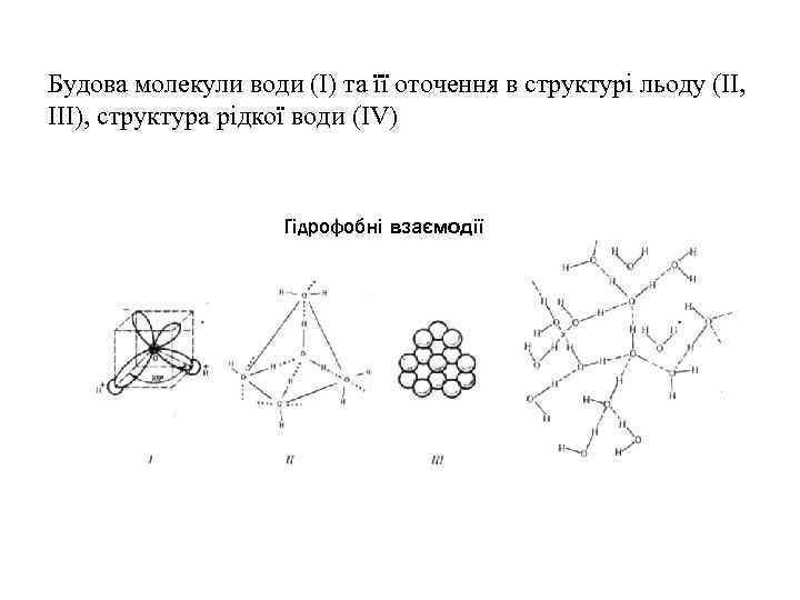 Будова молекули води (І) та її оточення в структурі льоду (ІІ, ІІІ), структура рідкої