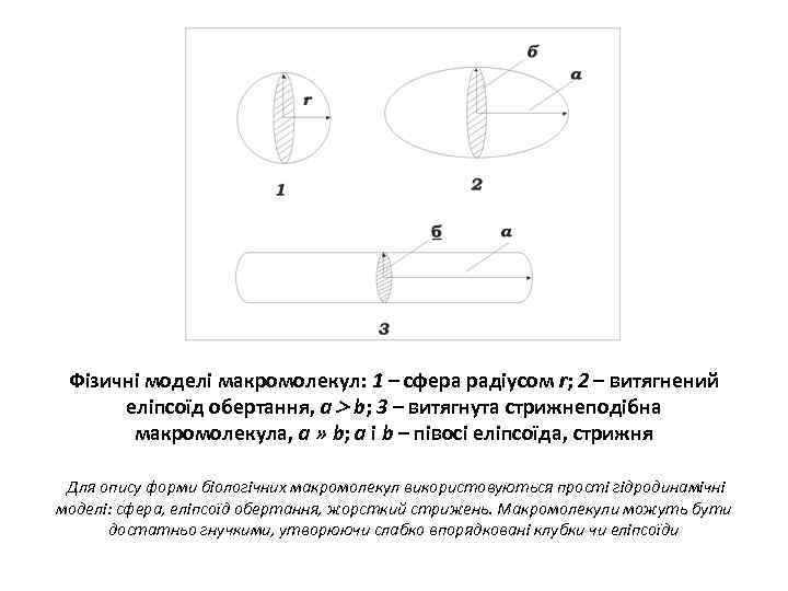 Фізичні моделі макромолекул: 1 – сфера радіусом r; 2 – витягнений еліпсоїд обертання, а