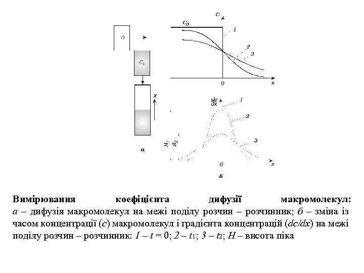 Вимірювання коефіцієнта дифузії макромолекул: а – дифузія макромолекул на межі поділу розчин – розчинник;