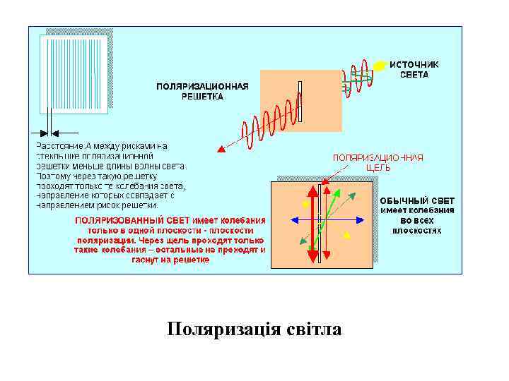 Поляризація світла 