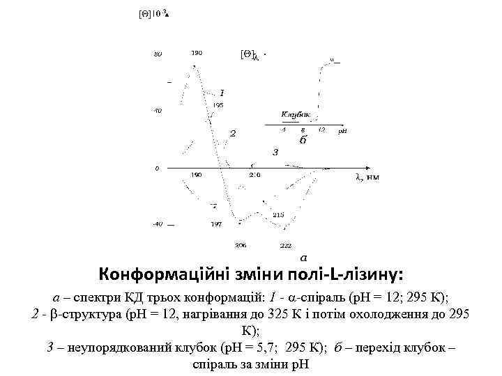Конформаційні зміни полі-L-лізину: а – спектри КД трьох конформацій: 1 - -спіраль (р. Н