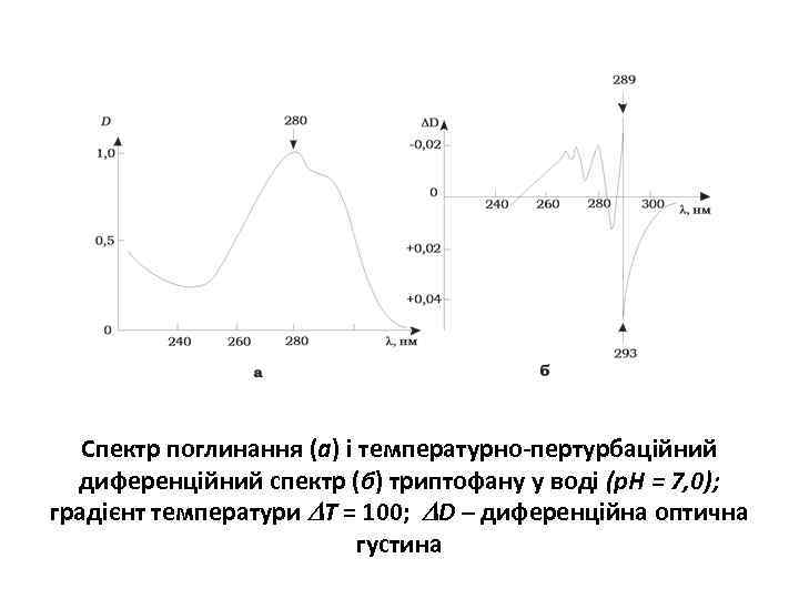 Спектр поглинання (а) і температурно-пертурбаційний диференційний спектр (б) триптофану у воді (р. Н =