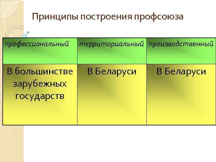 Принципы построения профсоюза профессиональный В большинстве зарубежных государств территориальный производственный В Беларуси 