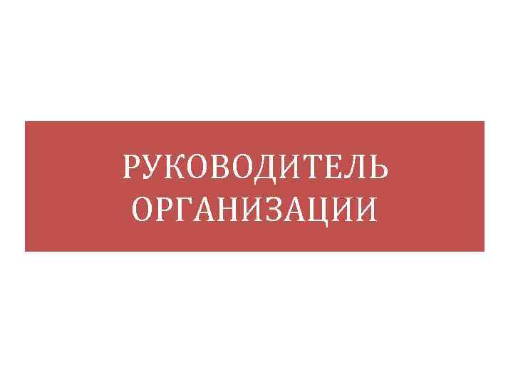 РУКОВОДИТЕЛЬ ОРГАНИЗАЦИИ 