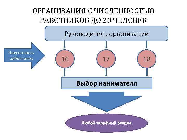 ОРГАНИЗАЦИЯ С ЧИСЛЕННОСТЬЮ РАБОТНИКОВ ДО 20 ЧЕЛОВЕК Руководитель организации Численность работников 16 17 Выбор