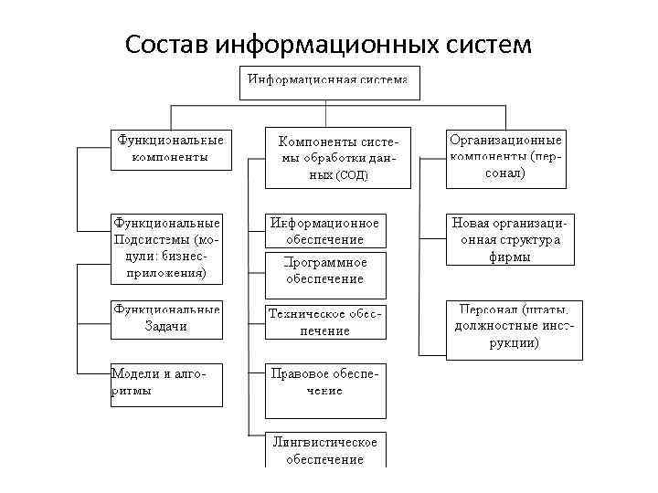 Состав информационных систем 