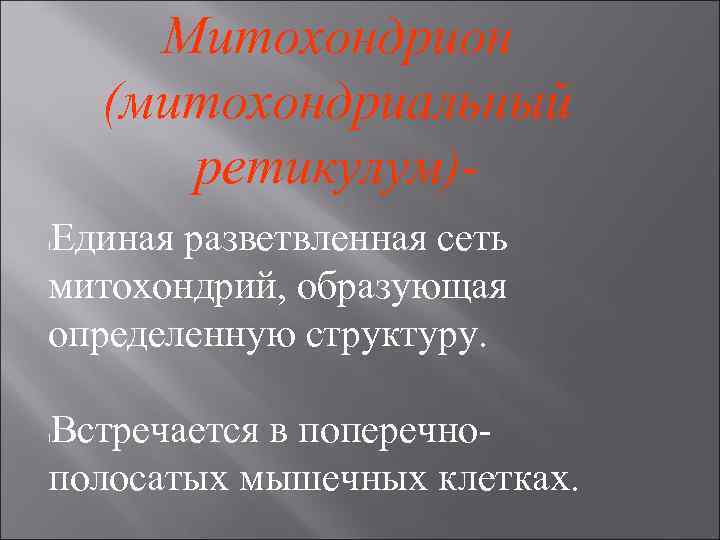 Митохондрион (митохондриальный ретикулум)Единая разветвленная сеть митохондрий, образующая определенную структуру. l Встречается в поперечнополосатых мышечных