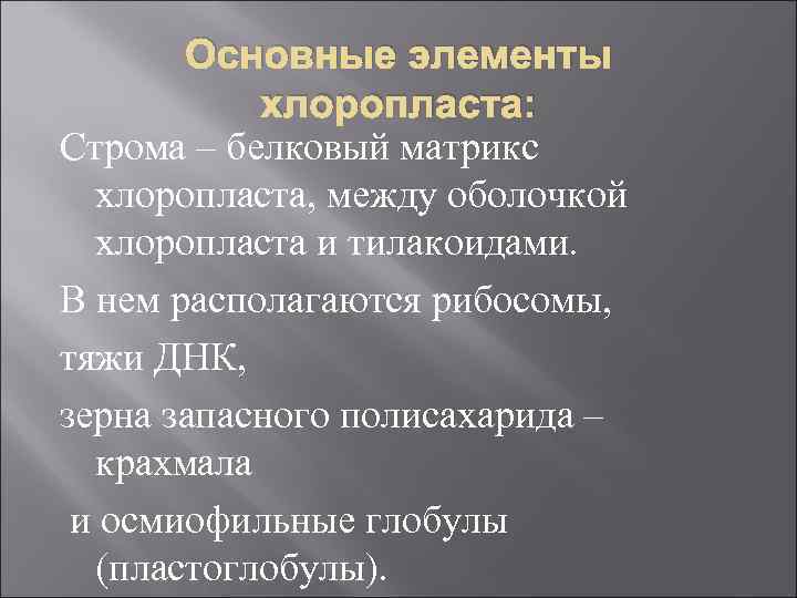 Основные элементы хлоропласта: Строма – белковый матрикс хлоропласта, между оболочкой хлоропласта и тилакоидами. В