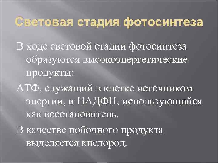Световая стадия фотосинтеза В ходе световой стадии фотосинтеза образуются высокоэнергетические продукты: АТФ, служащий в
