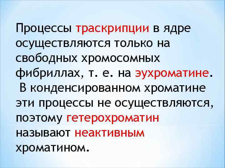 Процессы траскрипции в ядре осуществляются только на свободных хромосомных фибриллах, т. е. на эухроматине.