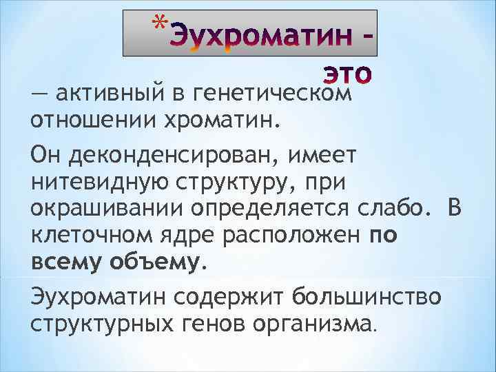 * — активный в генетическом отношении хроматин. Он деконденсирован, имеет нитевидную структуру, при окрашивании