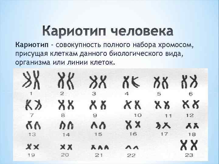 Кариотип - совокупность полного набора хромосом, присущая клеткам данного биологического вида, организма или линии