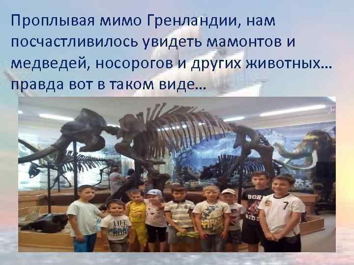 Проплывая мимо Гренландии, нам посчастливилось увидеть мамонтов и медведей, носорогов и других животных… правда