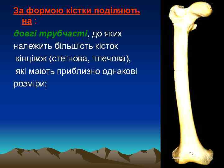 За формою кістки поділяють на : довгі трубчасті, до яких належить більшість кісток кінцівок