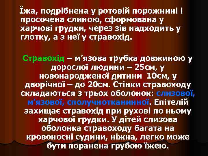 Їжа, подрібнена у ротовій порожнині і просочена слиною, сформована у харчові грудки, через зів