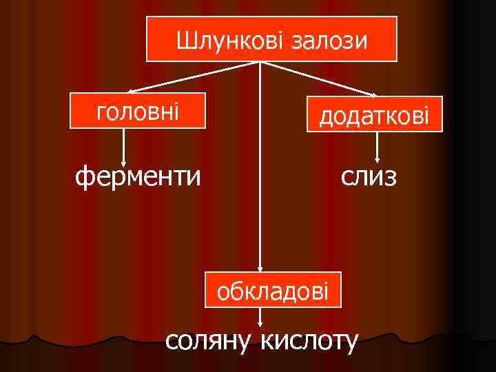 Шлункові залози головні додаткові ферменти слиз обкладові соляну кислоту 