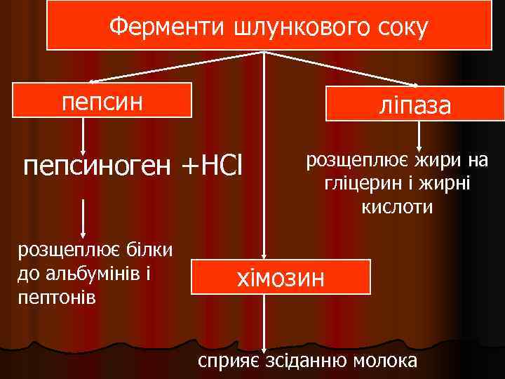 Ферменти шлункового соку пепсин ліпаза пепсиноген +HCl розщеплює білки до альбумінів і пептонів розщеплює