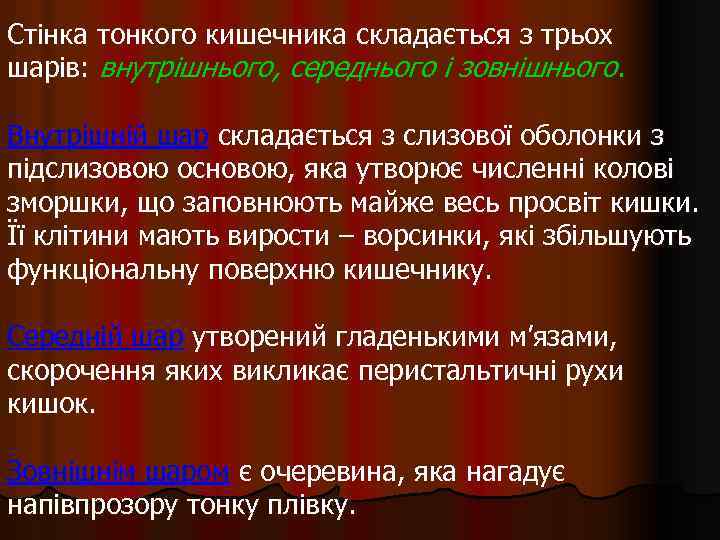Стінка тонкого кишечника складається з трьох шарів: внутрішнього, середнього і зовнішнього. Внутрішній шар складається