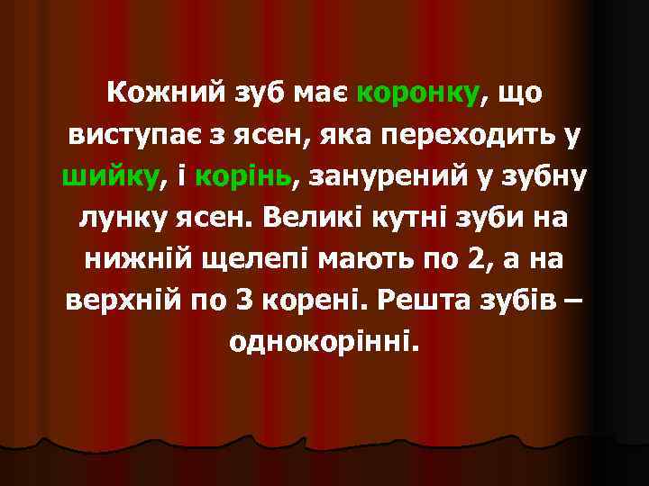 Кожний зуб має коронку, що виступає з ясен, яка переходить у шийку, і корінь,