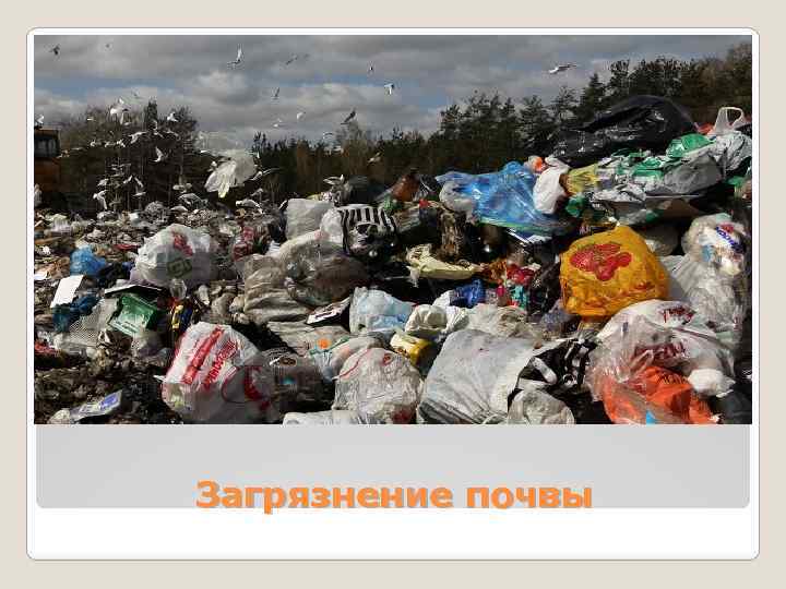 Загрязнение почвы 