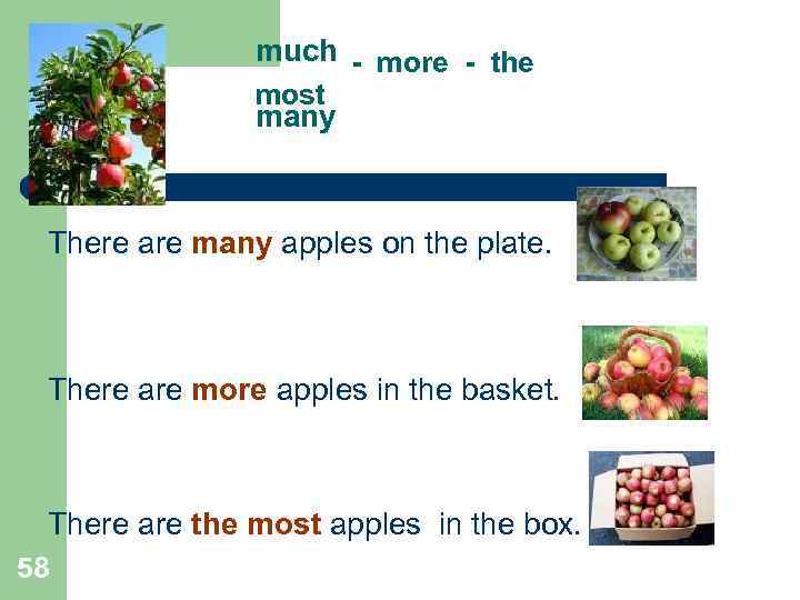 much - more - the most many There are many apples on the plate.