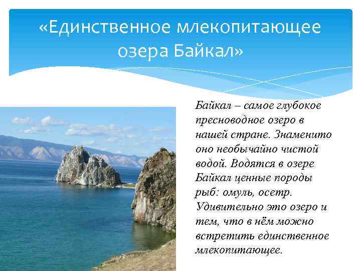  «Единственное млекопитающее озера Байкал» Байкал – самое глубокое пресноводное озеро в нашей стране.