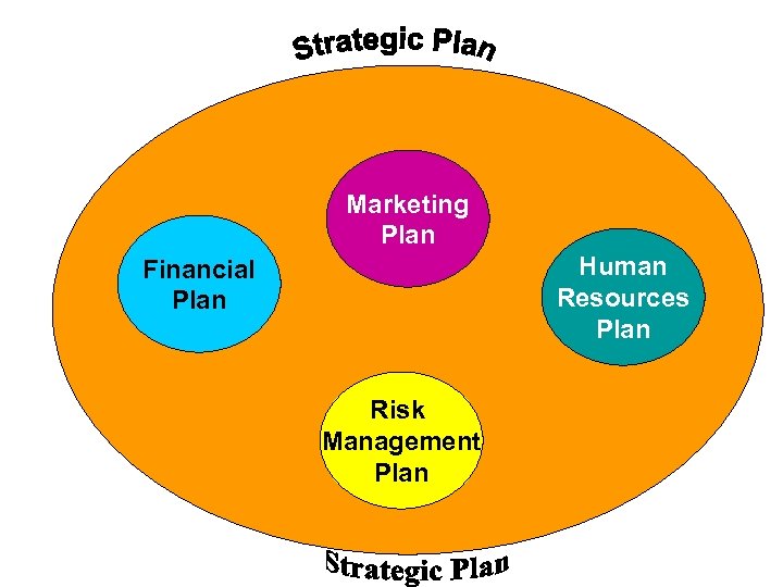 Marketing Plan Human Resources Plan Financial Plan Risk Management Plan 