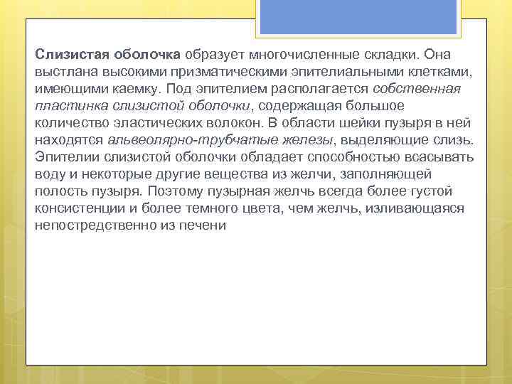 Слизистая оболочка образует многочисленные складки. Она выстлана высокими призматическими эпителиальными клетками, имеющими каемку. Под